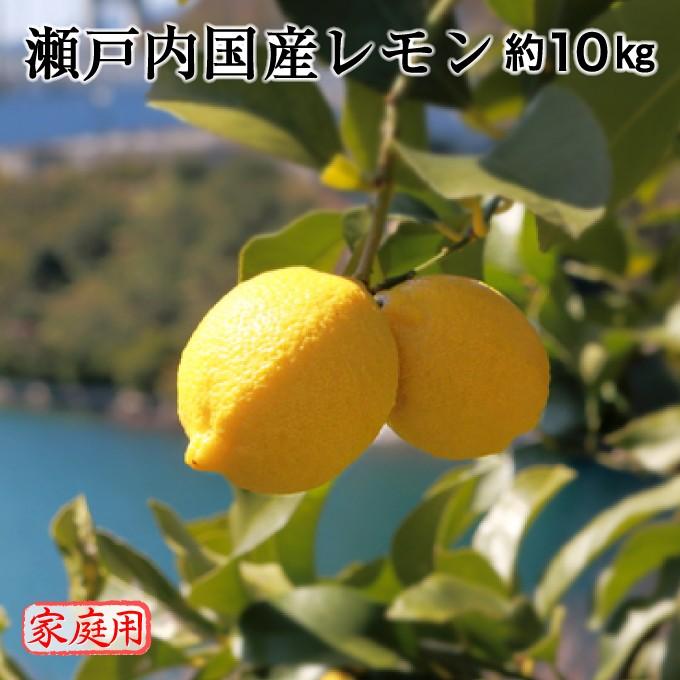 瀬戸内国産レモン 約10kg 家庭用 訳あり｜suikinkarou