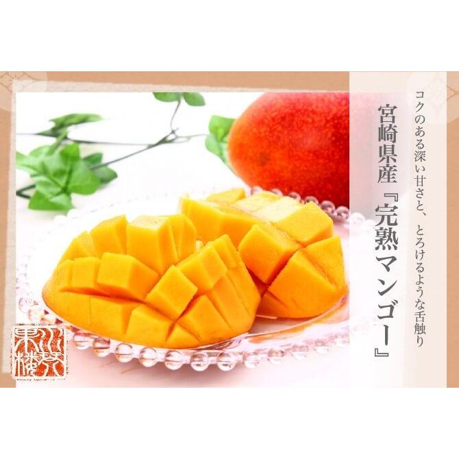 宮崎県産 完熟マンゴー 2〜3玉入り 合計約450〜500g前後 パック