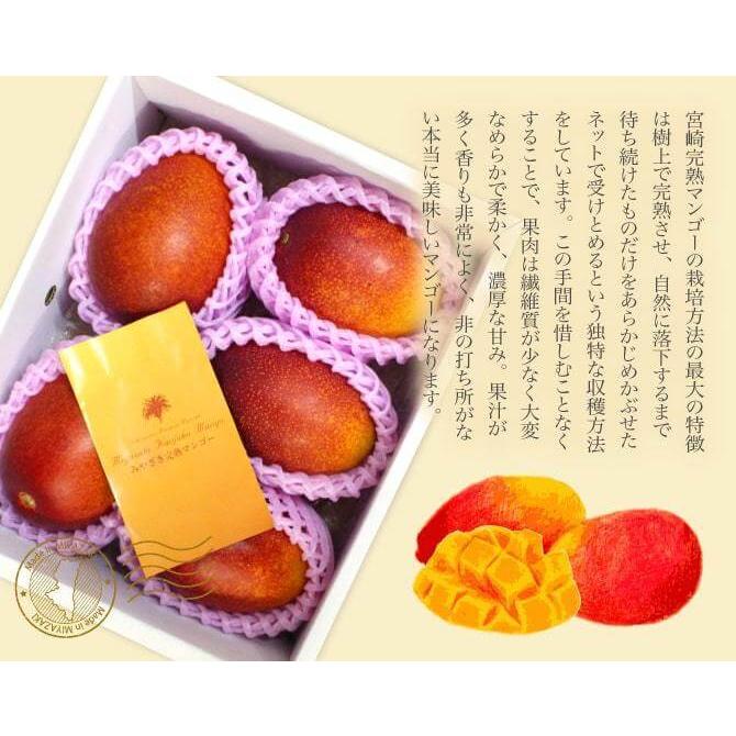 宮崎県産 完熟マンゴー 秀品 3Lサイズ 3玉入り 化粧箱入リ 宮崎マンゴー プレゼント ギフト 5月下旬頃より発送_4