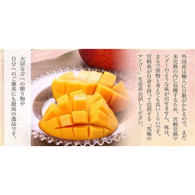 宮崎県産 完熟マンゴー 秀品 3Lサイズ 3玉入り 化粧箱入リ 宮崎マンゴー プレゼント ギフト 5月下旬頃より発送_5