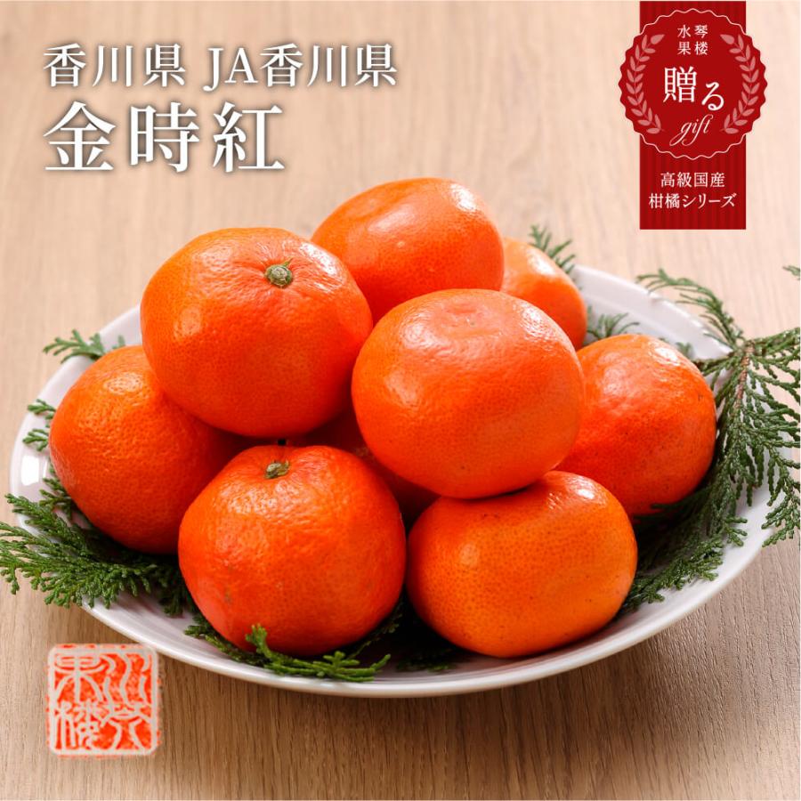 2025 お歳暮 ギフト 金時紅みかん 秀品 2S~Mサイズ 5kg 香川県産 化粧