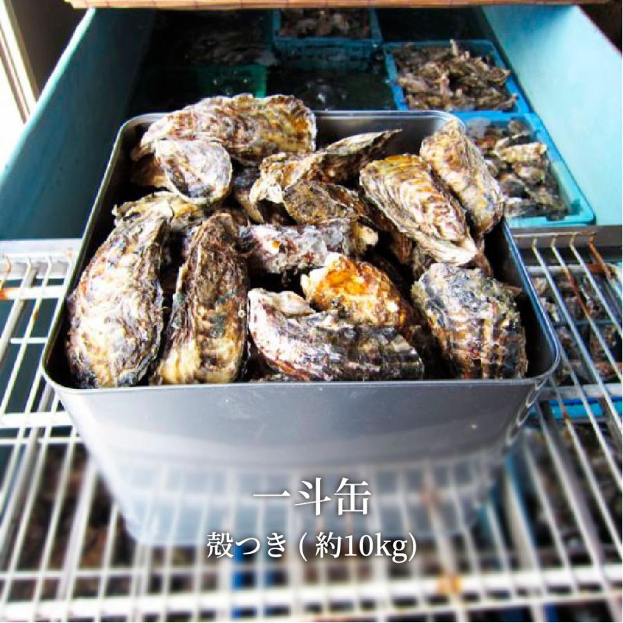 爆買牡蠣 生牡蠣 殻付き牡蠣 瀬戸内市邑久町産 一斗缶 たっぷり約10kg