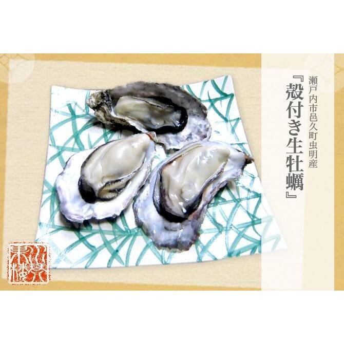 一斗缶牡蠣売ります 殻付き生牡蠣一斗缶入り10kg】!!送料無料!! | 岡山県邑久町虫明産特選3