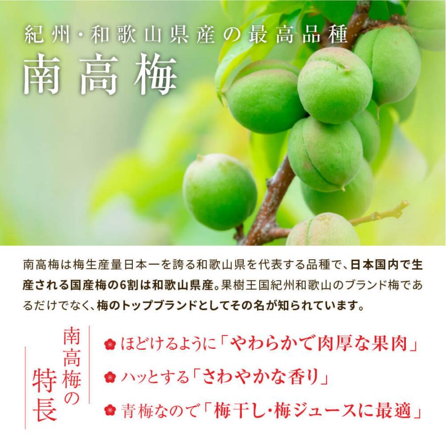 小豆】紀州南高梅 追熟梅 秀品（最高級品） 4L 10kg 送料込み 楽天市場