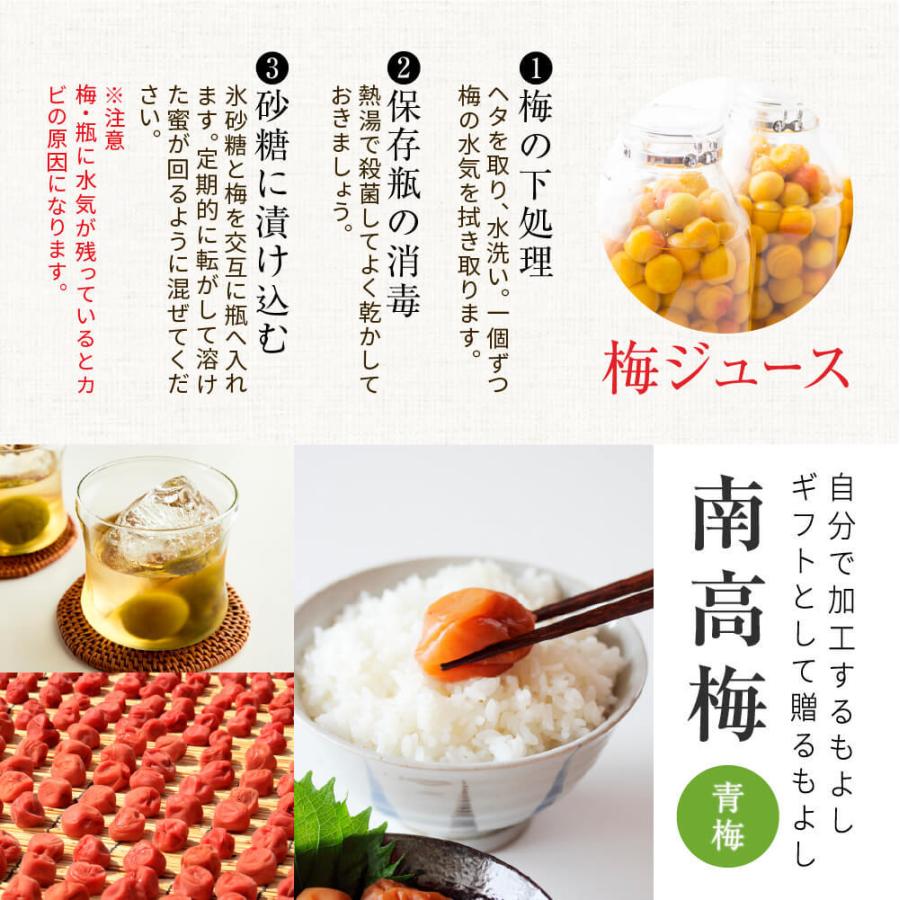 0521【秀品】「紀州の南高梅」特大4L 8kg 和歌山産 キルトパッチ梅店