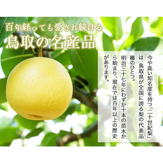 9月上旬頃より発送) 梨 なし ナシ 二十世紀梨 20世紀梨 家庭用