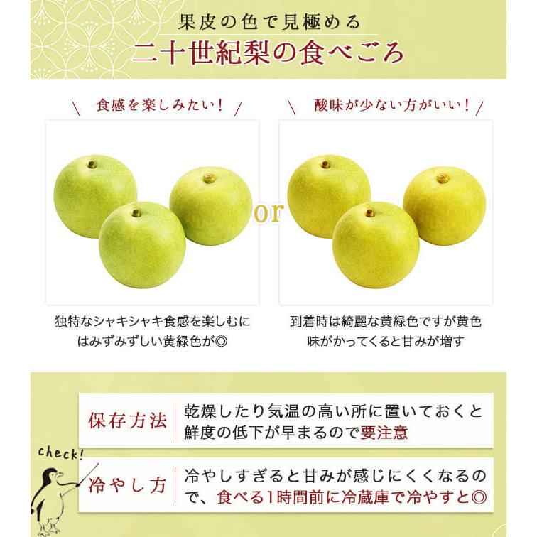 しなしなの梨 梨 なし 2kg 送料無料 高知産 4〜6玉 幸水 凛夏 豊水など ご家庭