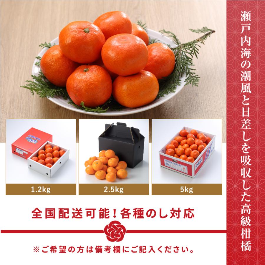 12月上旬頃より発送) 香川県産 小原紅早生みかん 秀品 S〜M