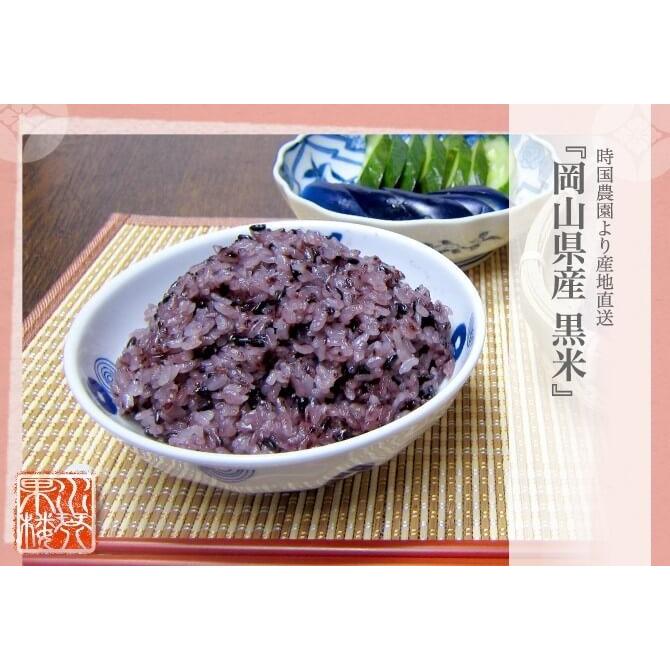 岡山県産 黒米 500g 新米 令和7年産 時国農園より産地直送 爆買 : 水琴