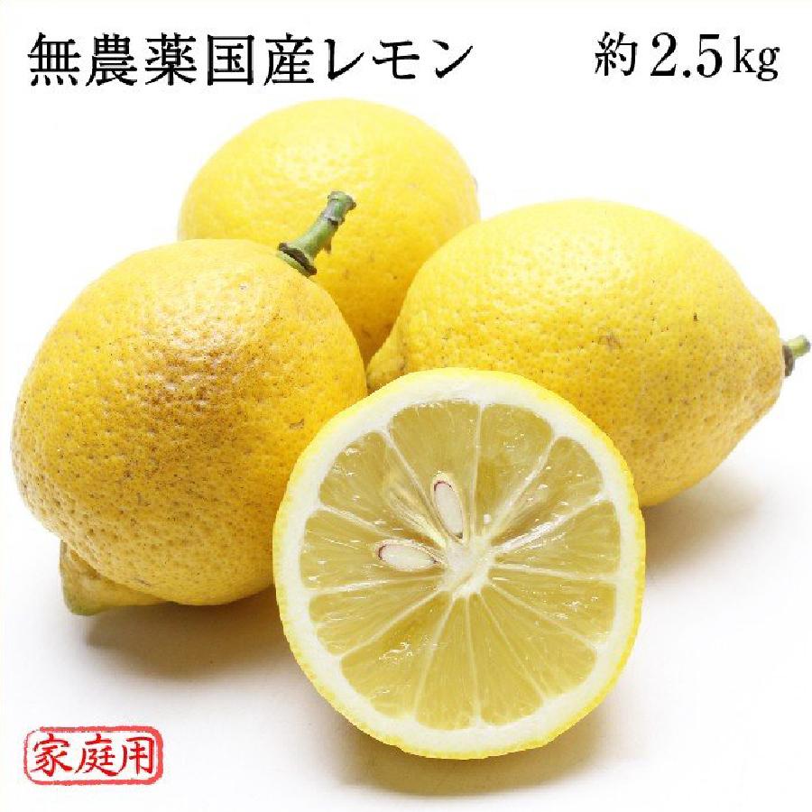 無農薬 岡山県産 国産レモン 約2.5kg 家庭用 訳あり 大きさ 無農薬 岡山県産 国産レモン 約2.5kg 家庭用 訳あり 大きさ