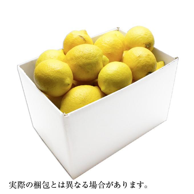 無農薬 岡山県産 国産レモン 約2.5kg 家庭用 訳あり 大きさ 無農薬 岡山県産 国産レモン 約2.5kg 家庭用 訳あり 大きさ