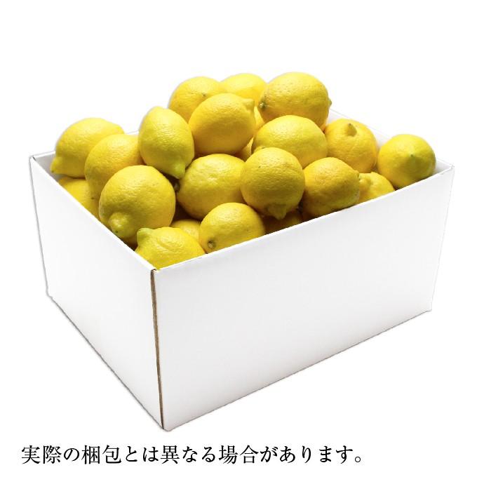 無農薬 岡山県産 国産レモン 約5kg 家庭用 訳あり 大きさ不揃い