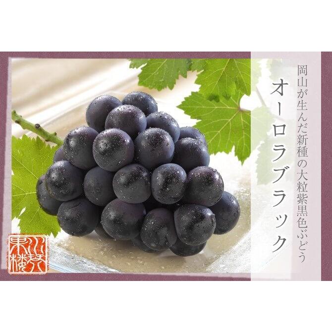 オーロラブラック 家庭用 訳あり 3房〜5房入り 約2kg 岡山県特産