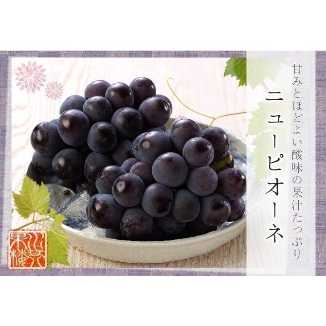 2025 ニューピオーネ 青秀品 約2kg 3〜5房 岡山県産 ギフト プレゼント