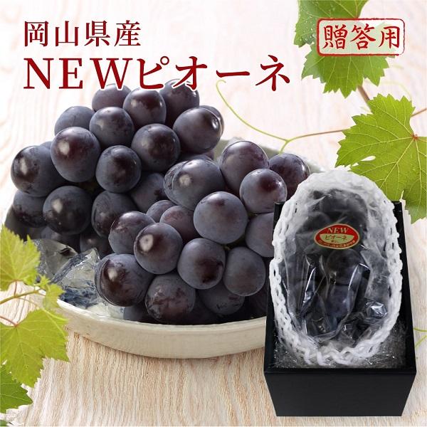 ピオーネ　贈答品 2026 お中元 ギフト 葡萄 ぶどう 岡山県産 ニューピオーネ 赤秀品 1房