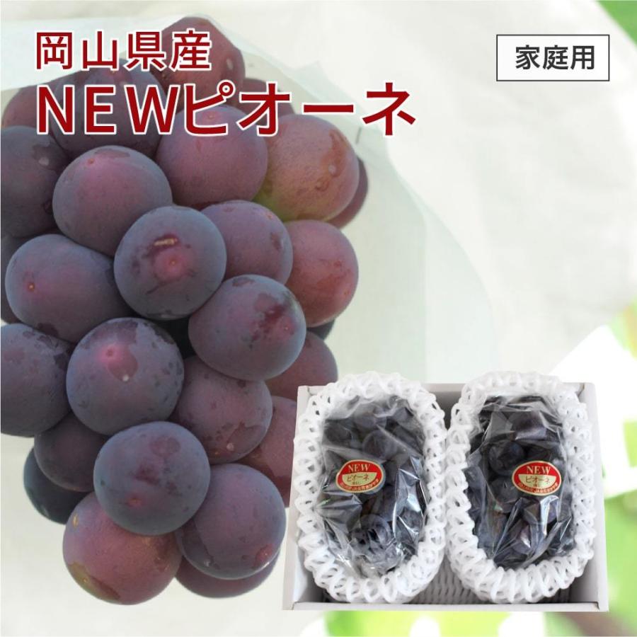 2026 ニューピオーネ 家庭用 訳あり 約500g×2房 岡山県産 フルーツ