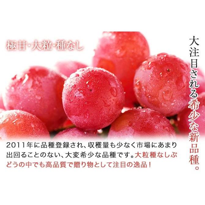 クイーンニーナ 家庭用 訳あり 3〜5房 約2kg 岡山県産 ぶどう ブドウ 8