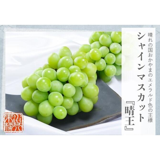 ぶどう 2025 シャインマスカット 晴王 青秀品 3〜5房 約2kg 化粧箱入り