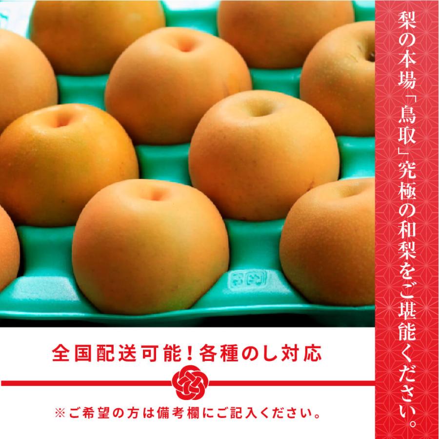 9月上旬頃より順次発送) 鳥取県産 梨 新甘泉 しんかんせん 青秀 L〜2L