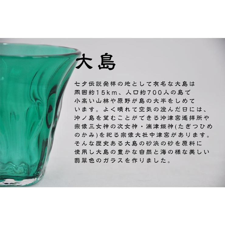 宗像びーどろ 大島翡翠（ひすい） タンブラー NM-12GR ガラス細工 粋