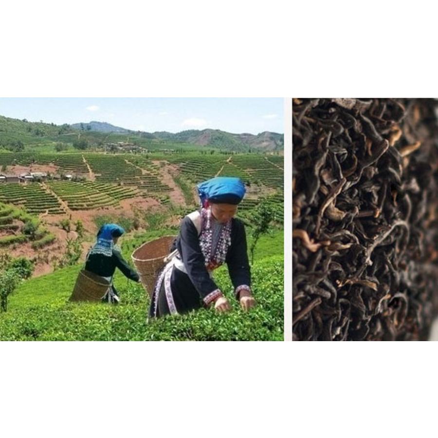 本場中国雲南省産プーアル茶（プアール茶/プーアール茶/黒茶）「醇品
