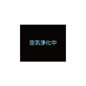 新発売！！【除菌・脱臭・分解】IQfresherZEROが進化！　空気浄化装置エアネックス「AirNEX 800L」【EB-800LAC】HEPAフィルター_9