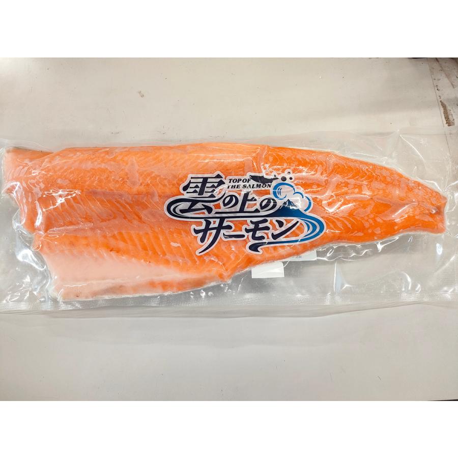 雲の上のサーモン トリムC 10kg 約10枚 サーモントラウト
