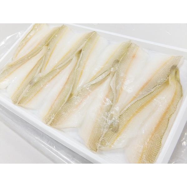 きす開き　４０枚（８枚×５トレー）×１０箱　開ききす　天ぷら　鱚