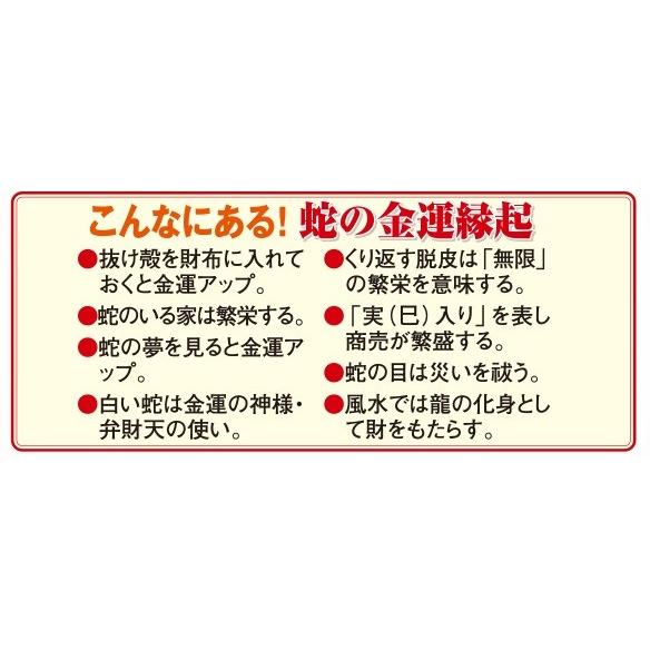 財運白蛇ブレス|suishowin-shop|06