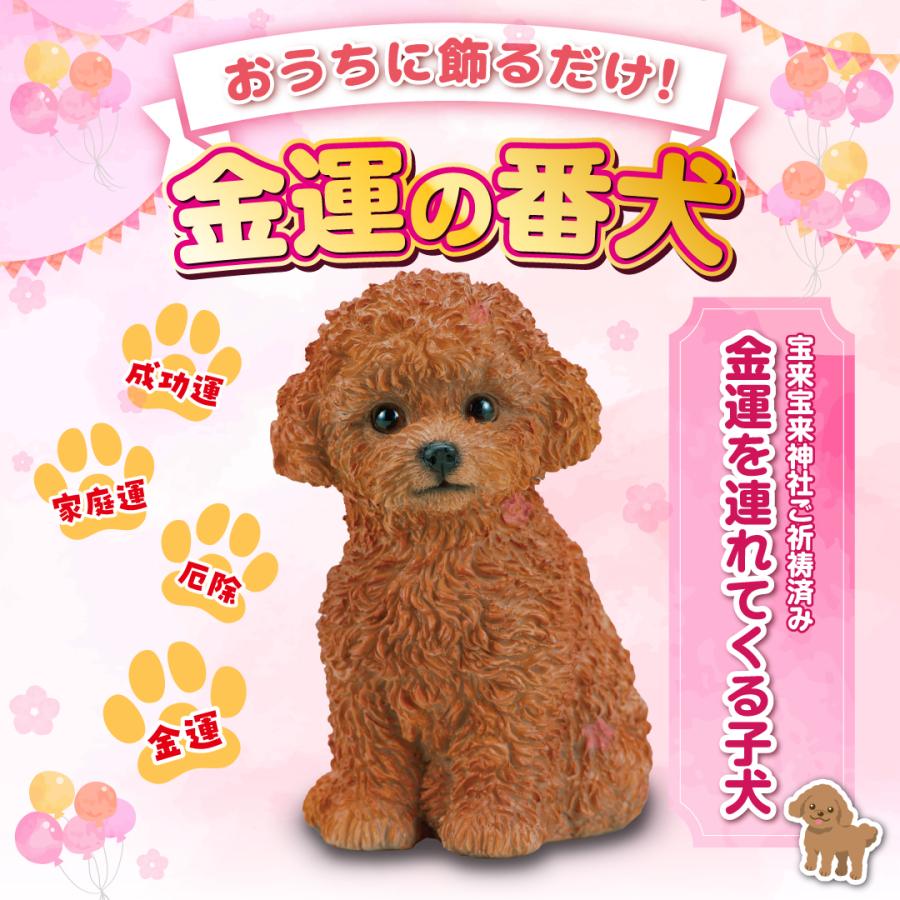 金運を連れてくる子犬】開運 縁起物 トイプードル 犬 : 水晶院shop