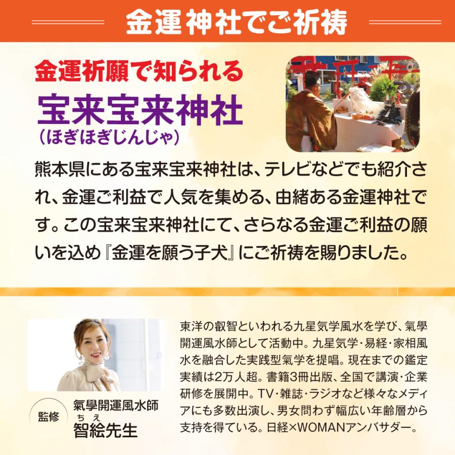 金運を願う子犬】開運 縁起物 犬 置物 インテリア : 水晶院shop - 通販