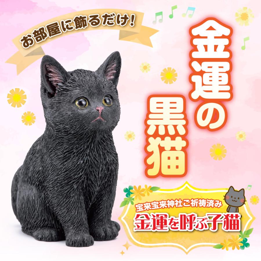 金運を呼ぶ子猫】開運 縁起物 黒猫 インテリア : 水晶院shop - 通販