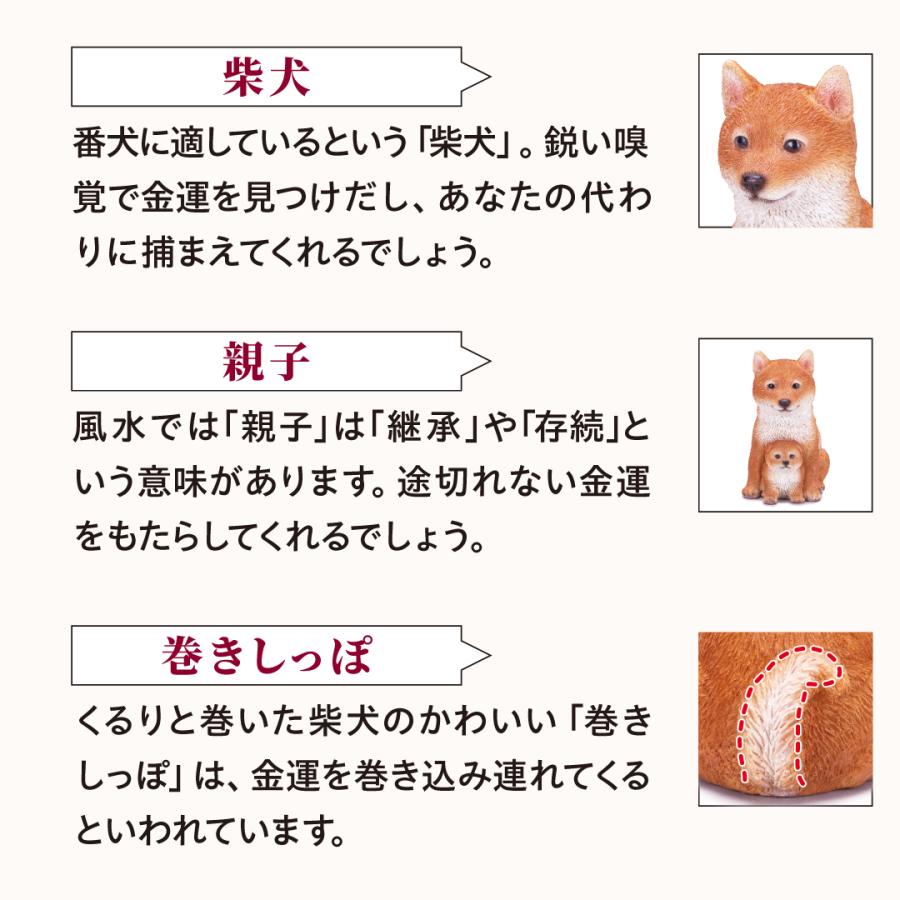 超特級呪物】黄金守財犬 福徳を招き財を護る霊犬像
