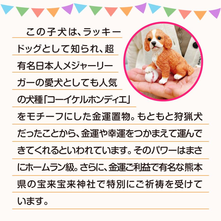 金運勝利の子犬】開運 縁起物 コーイケルホンディエ 犬 : 水晶院shop