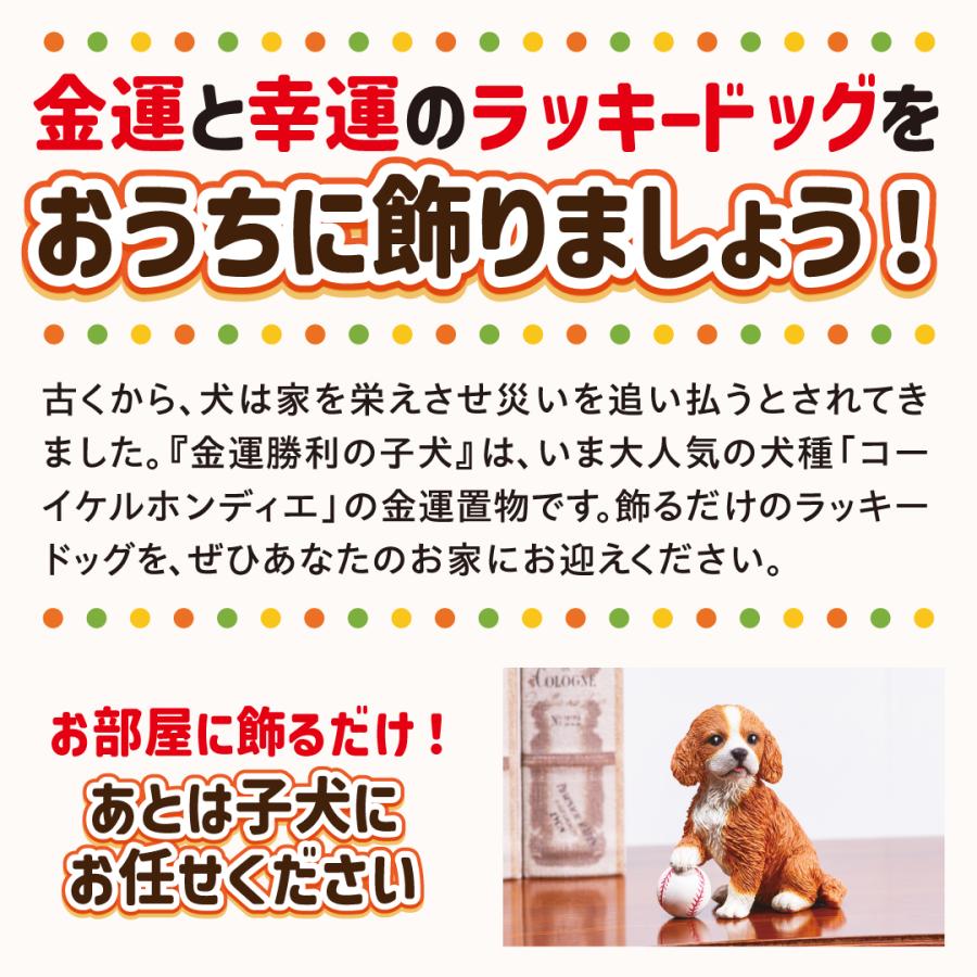 金運勝利の子犬】開運 縁起物 コーイケルホンディエ 犬 : 水晶院shop