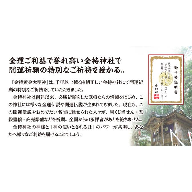 限定】特別ご祈祷済 金持黄金大明神 : 水晶院shop - 通販 - Yahoo