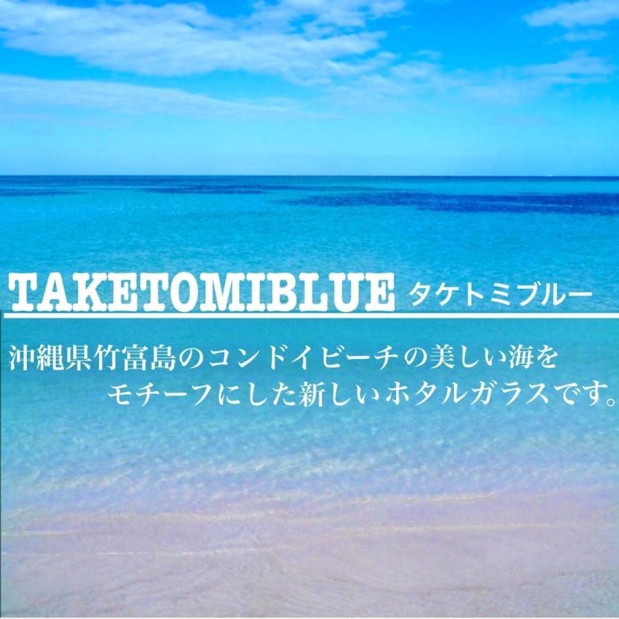 とんぼ玉 作家 夏 海 ビーチ タケトミブルー 8mm±0.5mm 10粒セット 蓄光ホタルガラス とんぼ