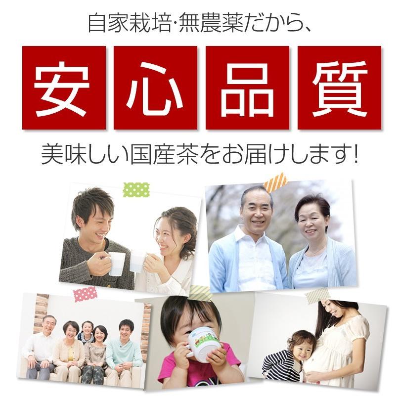 オーガニック 無農薬煎茶8種類×10g お試しセット メール便送料無料