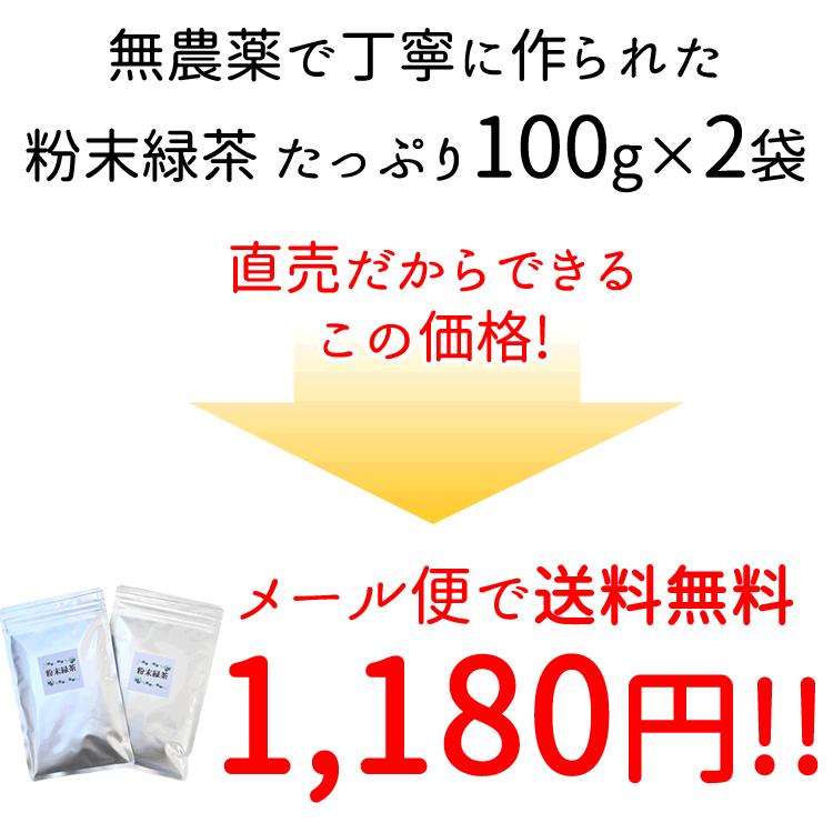 粉末煎茶100g×2袋(同梱不可) 無農薬栽培茶葉 粉末緑茶 粉末茶 破砕茶