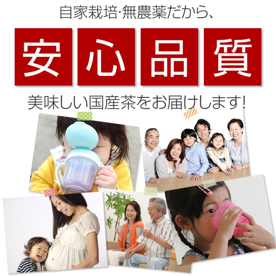 オーガニック 新製法でリニューアル 『煎茶みどり100g』 無農薬茶 より
