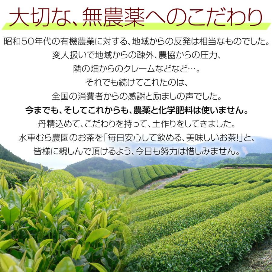 オーガニック 新製法でリニューアル 『煎茶みどり100g』 無農薬茶 より