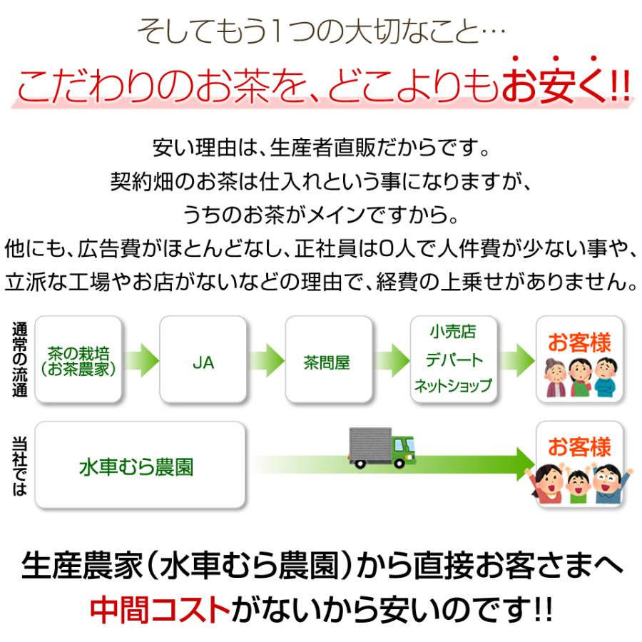 オーガニック 新製法でリニューアル 『煎茶みどり100g』 無農薬茶 より