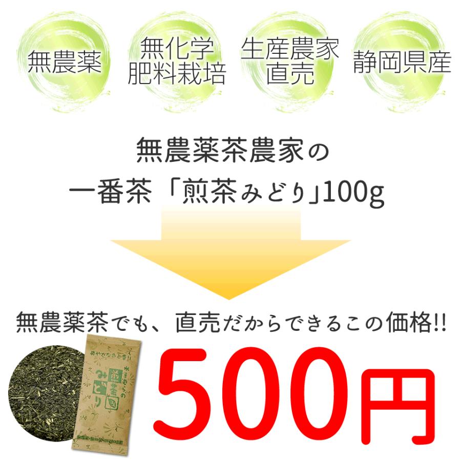 オーガニック 新製法でリニューアル 『煎茶みどり100g』 無農薬茶 より
