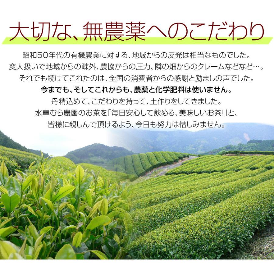 『三年番茶』やぶきたの三年熟成番茶250ｇ 送料無料　無農薬・無化学肥料栽培 静岡県産・ほうじ茶｜suisyamura｜11