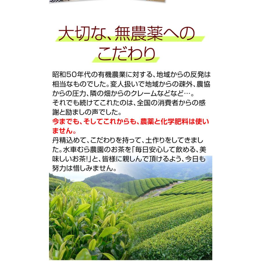 オーガニック 煎茶みどり深蒸し茶 100g 新製法でリニューアル 国産無