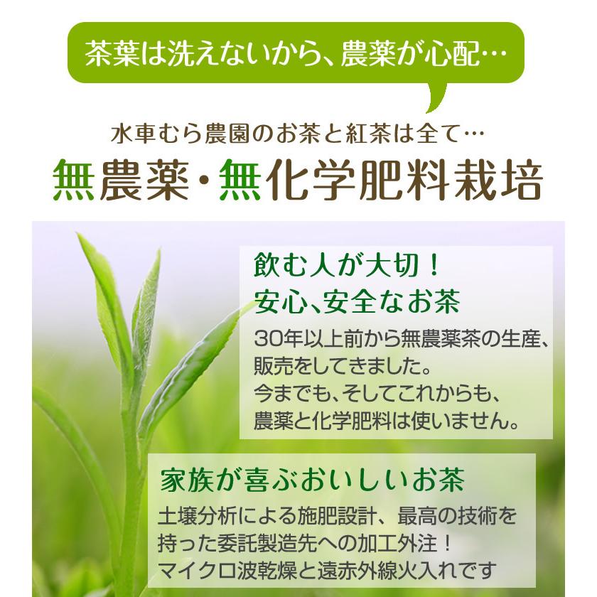 オーガニック 煎茶みどり深蒸し茶 100g 新製法でリニューアル 国産無