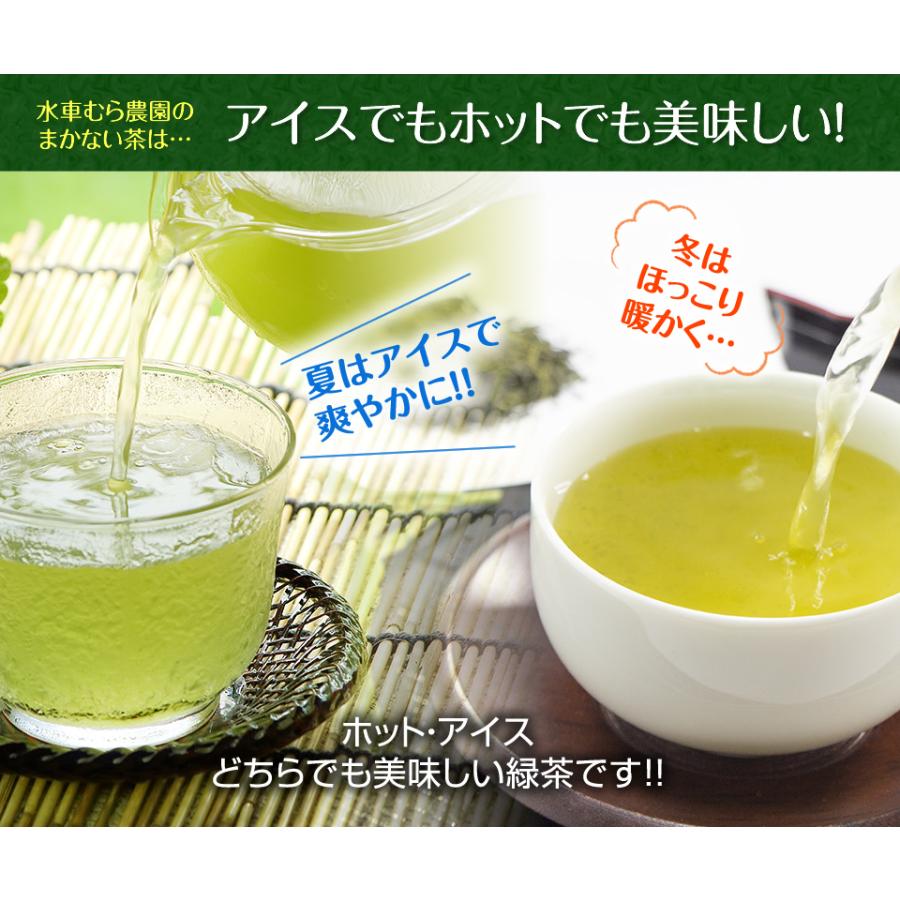 『まかない茶』たっぷり100個の緑茶ティーバッグ ★無農薬茶農家のまかない茶★｜suisyamura｜08