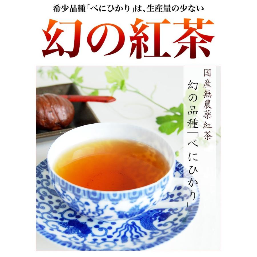 オーガニック 国産 無農薬紅茶 べにひかり100g 無添加 国産紅茶 和紅茶
