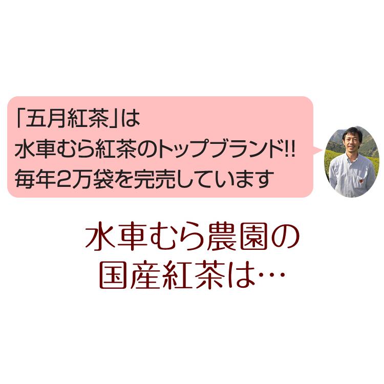 国産無農薬紅茶 五月100g 水車むら農園 無添加 国産紅茶 静岡産 通販　よりどり３袋でメール便送料無料｜suisyamura｜05