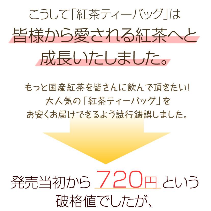 紅茶ティーバッグ　3g×33包　ランキング上位　無農薬栽培国産紅茶　無添加　静岡産｜suisyamura｜11